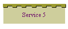 Service 5